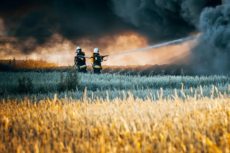 Требования пожарной безопасности, обязательные для соблюдения на землях сельскохозяйственного назначения