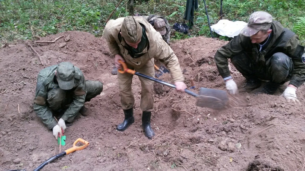 Найдены родные солдата. Поисковый отряд красноармеец Волгоград. Поисковый отряд память ищет родственников. Поисковый отряд Добрыня Санкт-Петербург.